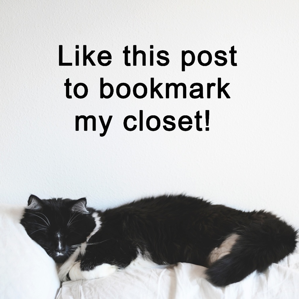Artie says Like this post to bookmark my closet! - Picture 1 of 1